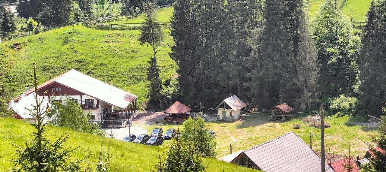 Pensiunea Trei Brazi Arieşeni エクステリア 写真