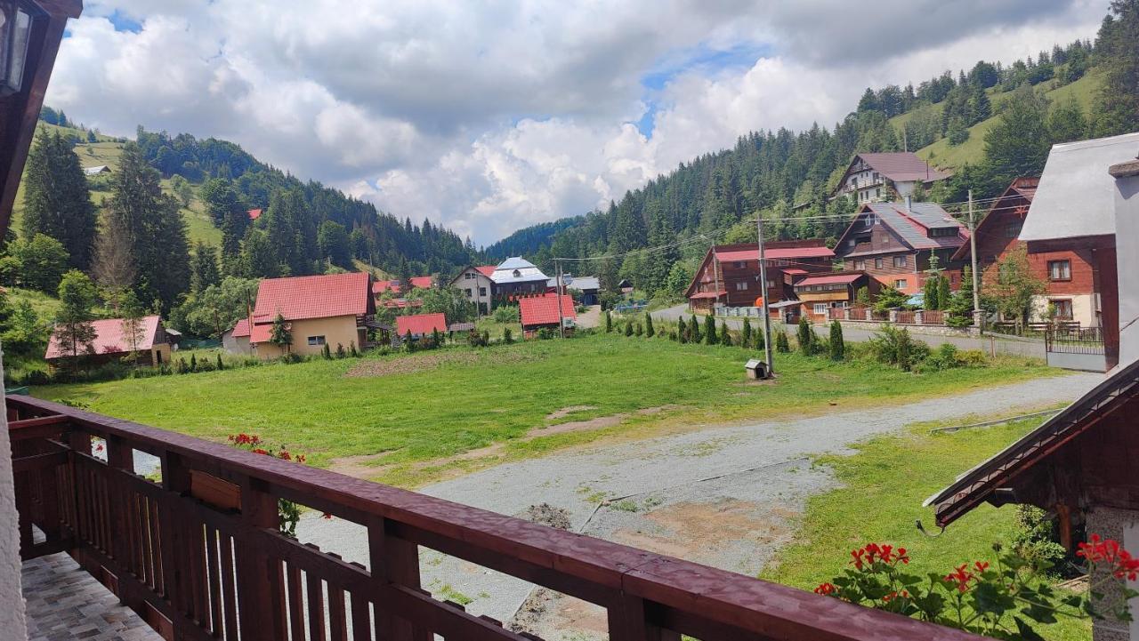 Pensiunea Trei Brazi Arieşeni エクステリア 写真