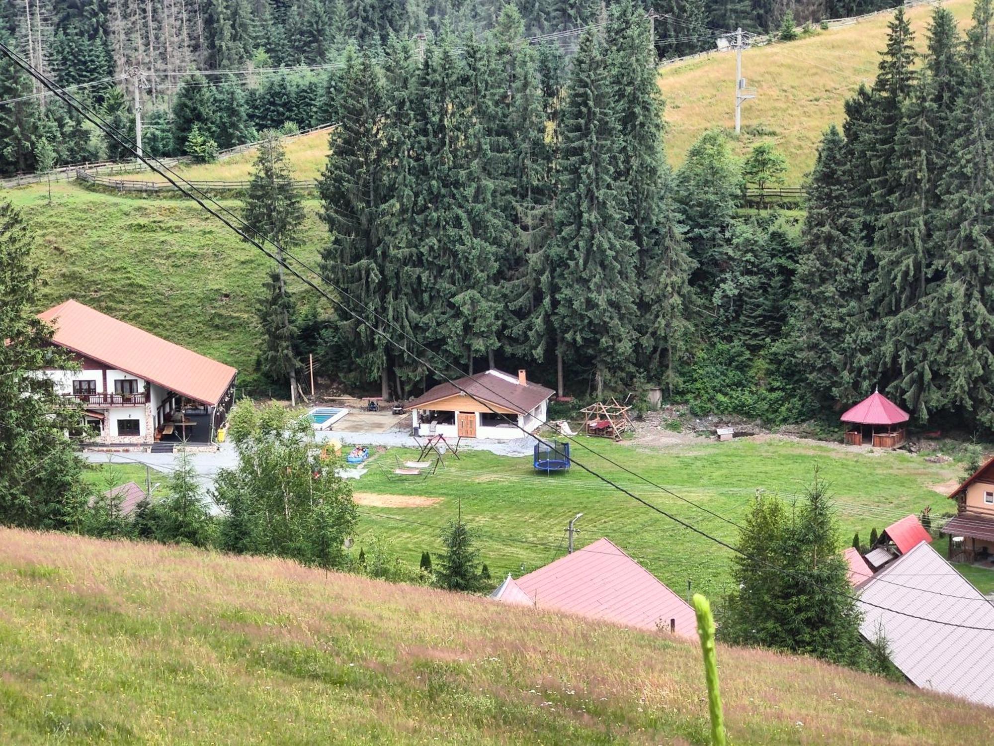 Pensiunea Trei Brazi Arieşeni エクステリア 写真
